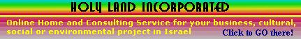 Holy Land Inc, Web Home and Consulting service for your project
